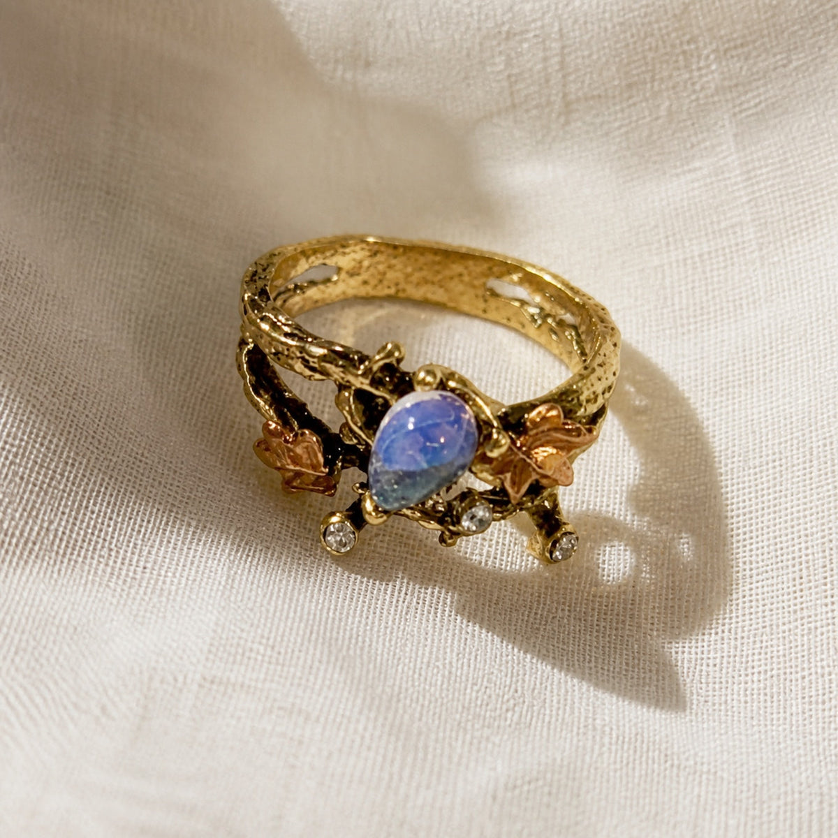 Anillo de pradera a la luz de la luna
