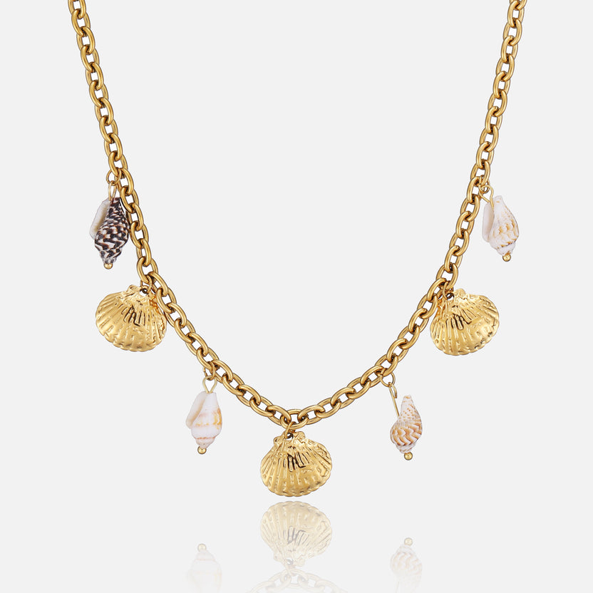 Collar Oyster