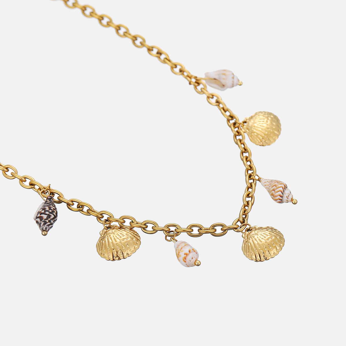 Collar Oyster – imagen 2