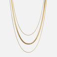 Collar Tracy