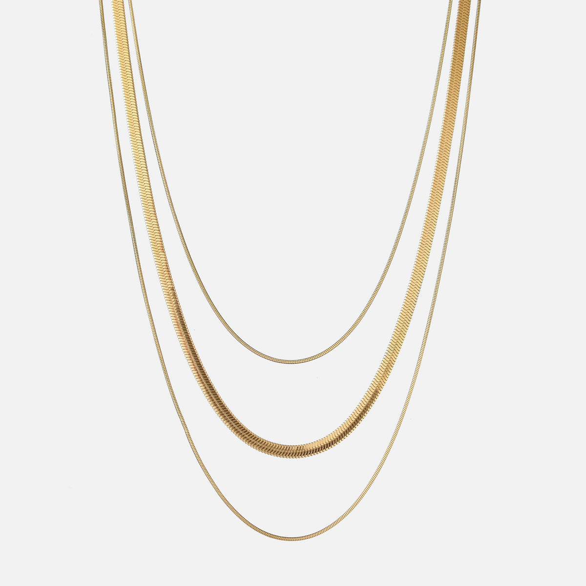 Collar Tracy
