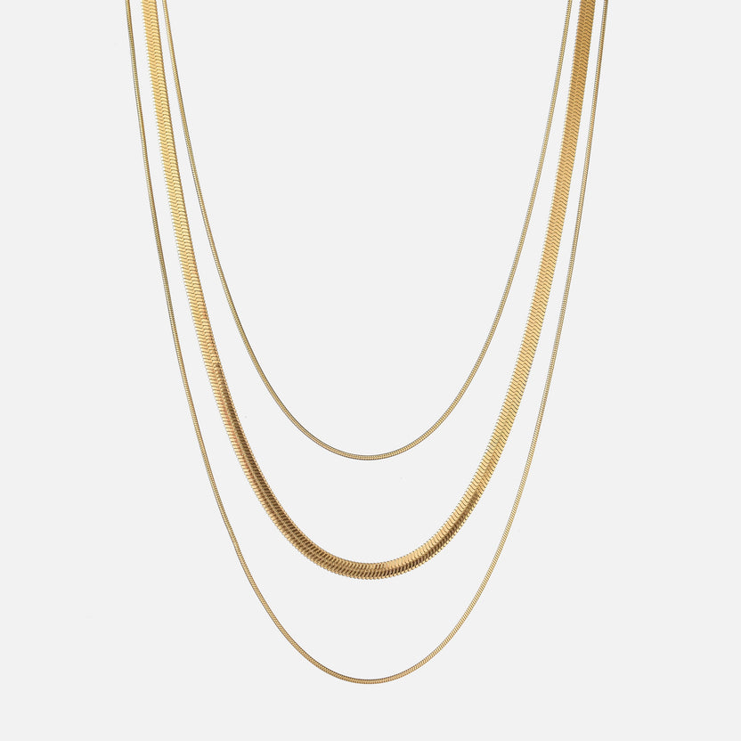Collar Tracy