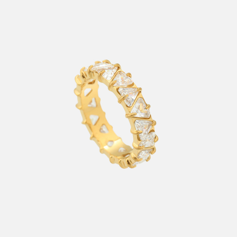 Anillo Vision