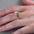 Conjunto clásico dorado de anillos de élite – imagen 3
