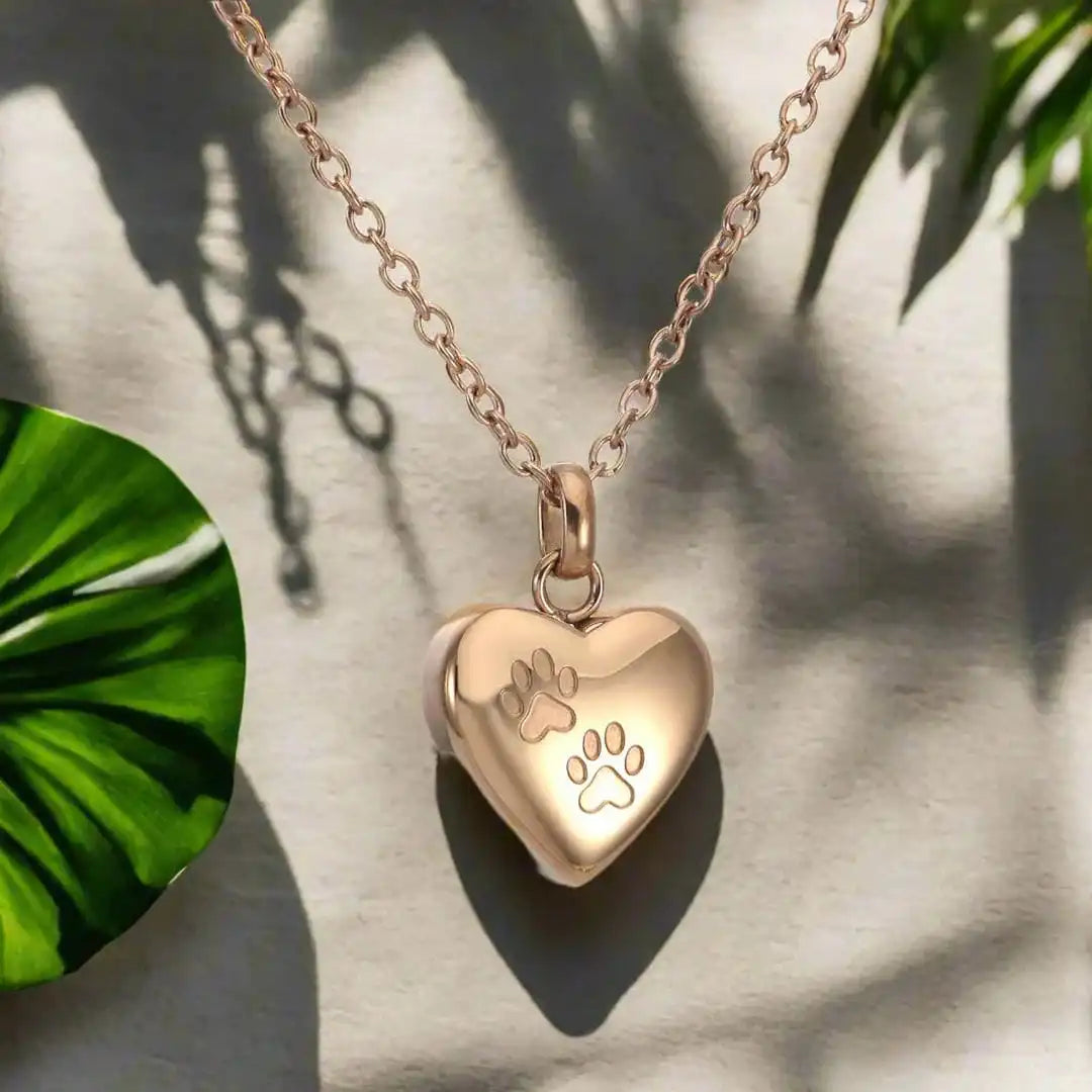 Collar urna conmemorativo para mascotas con colgante de corazón y huellas grabadas – imagen 3
