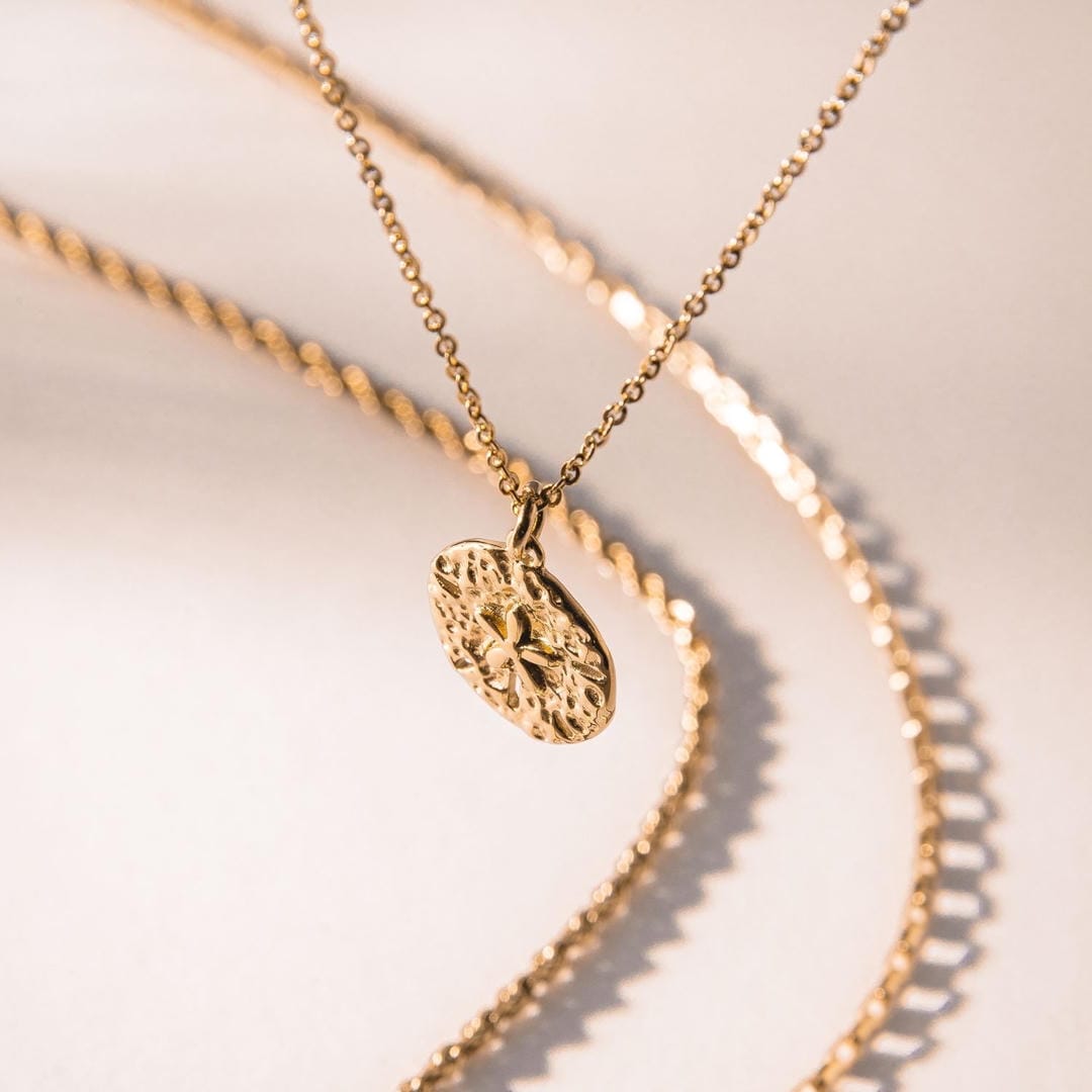 Collar con dije de galleta de mar – imagen 4
